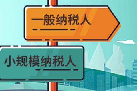 拉薩一般納稅人做賬報(bào)稅代理費(fèi)用為什么高于小規(guī)模納稅人？